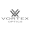 Vortex Optics